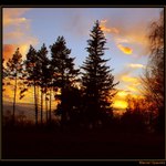 <b><u>*****Západovka*****</b></u> </a></span><br>