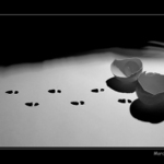 <b><u>*****Už nikdy v zime naboso*****</b></u> </a></span><br>