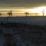 Jedno vánoční ráno