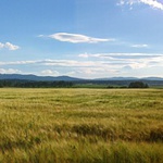 Panorama Blanského lesa
