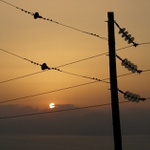 zadrátovaný západ