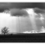 <B> ...Klid před bouřkou...</B>