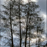 :: Rostu jako z vody ::