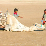 ... tak kdo je tady pánem?!