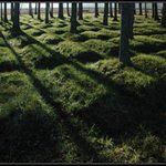 Vojenský hřbitov z let 1914-18