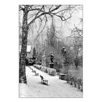 "V ledovém tichu..."