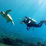 Paní, co jim přivezli?? :-)