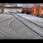 ........Cesta..........