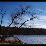 8.1. 2005 bylo jak na jaře.