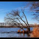 Byl to hezký den...