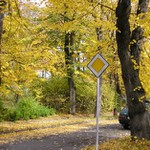 Přikázaná barva podzimu