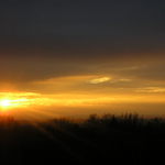 Před koncem dne ještě zasvítím a pak zemřu, abych se mohl znova narodit......