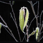 Zima začíná vládnout