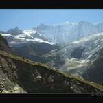 Cesta tam a zase zpátky