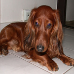 náše nejmilejší dítě