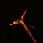 silvestrovský andílek