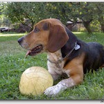 To je můj balón a nikomu ho nepujčím!!!