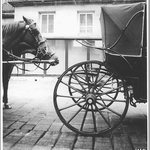 Alpha&Omega (Začátek a konec)