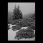 <b>...full of emptyness</b>