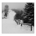 .:směr: Radegast:.