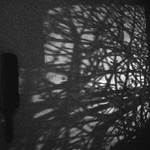 J.Pollock svitici na stene v kuchyni