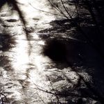 lednove slunce na lede