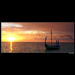 <b>:: Sun Cruise ::<b>