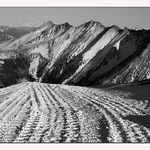 kudy jezdi rolba....