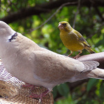 Do řady a podle velikosti