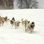 Mush go!