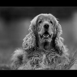 <b>JONÁŠ...</b><br><b>