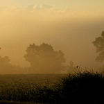 Ranni opar v Jesenikach