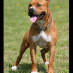 <b><u>Svalnatý mazlíček :o)</b></u>