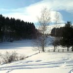 Zima