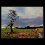 <u>***U_CESTY***</U><B>