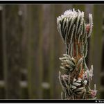 *** tady sedaval Toníček ***