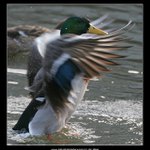 Novoroční protažení!