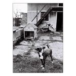 Kdo pochyboval o tom, že tady hlídám já???