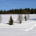 Šumava - Kvilda