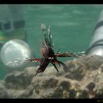 dekompresná zastávka