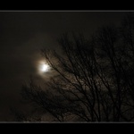 .. a umrlci vstávají