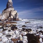 šššššŠŠŠššššŠŠššššššššš