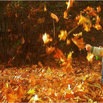 Dejte věci do pohybu