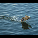 Už běěěžžííím