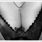 <b>  (     o     ) <:3(( ))~~~~ (     o     )