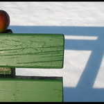 Zátišie s lavičkou