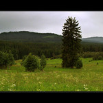 ..v okolí Kvildy...