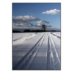 ...cestou necestou...