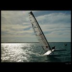 Regatta