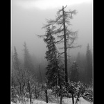 Tatry IV.: Podvecer